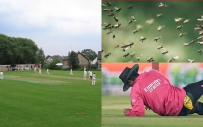 मानिक गुप्ता